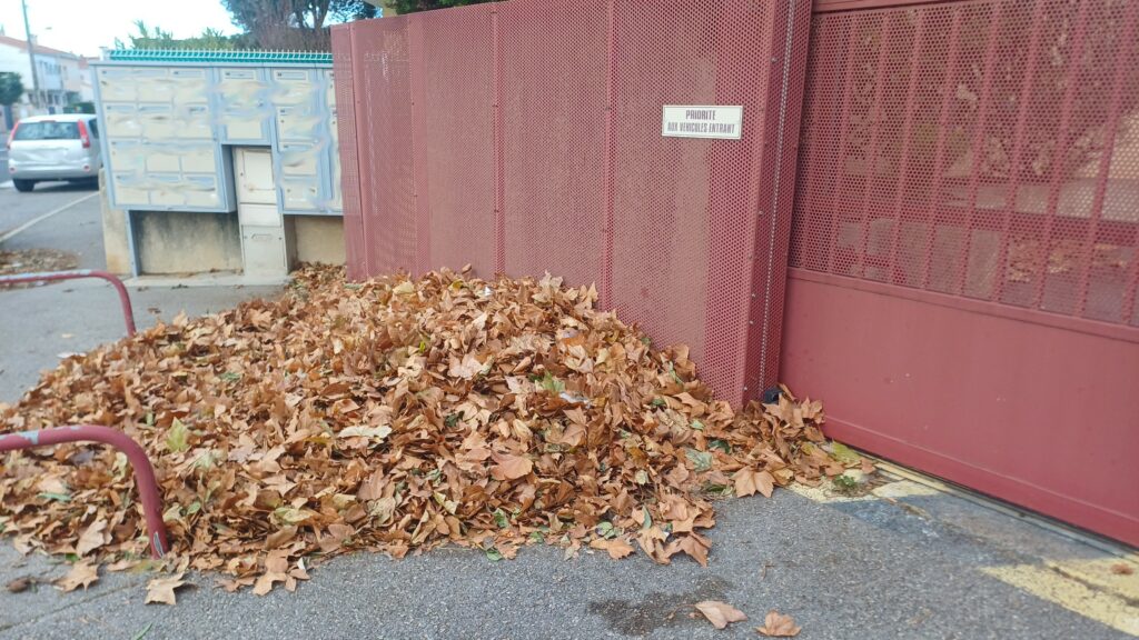 Les feuilles mortes se ramassent à la pelle