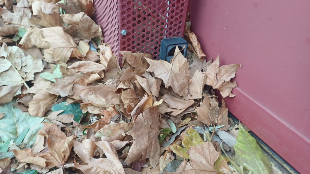 Les feuilles mortes se ramassent à la pelle